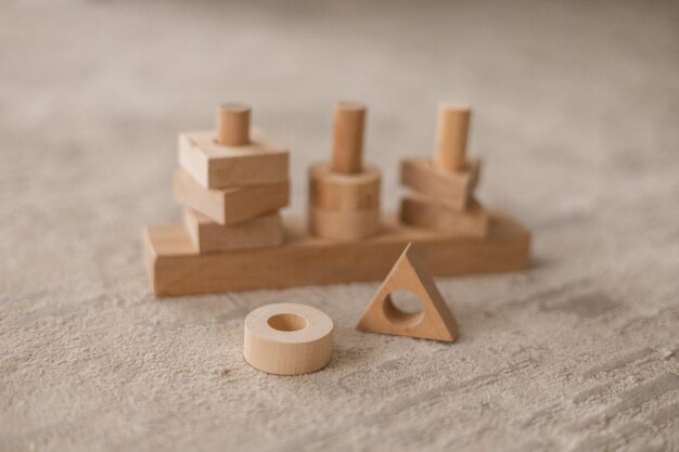 Moli Toys Ahşap Montessori Şekil Eşleştirme Seti