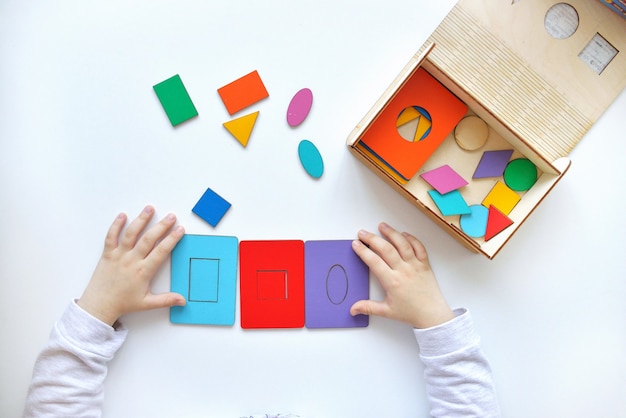 Moli Toys Ahşap Montessori Şekil Eşleştirme Seti
