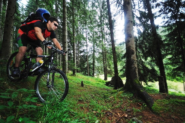 Bianchi Kuma 27.3 Dağ Bisikleti 27.5 Jant
